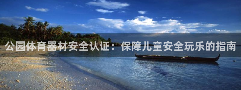尊龙休闲e站怎么样：公园体育器材安全认证：保障儿童安