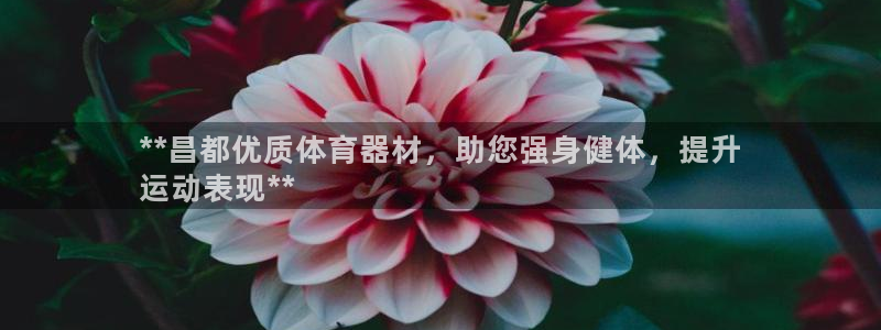 尊龙人生就是博一下下：**昌都优质体育器材，助您强身