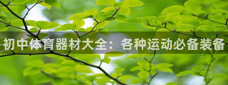 凯时旗舰厅App下载：初中体育器材大全：各种运动必备