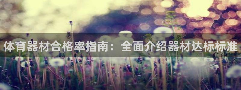 凯时国际官方版：体育器材合格率指南：全面介绍器材达标