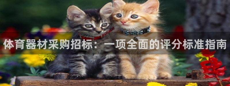 尊龙凯时vip：体育器材采购招标：一项全面的评分标准
