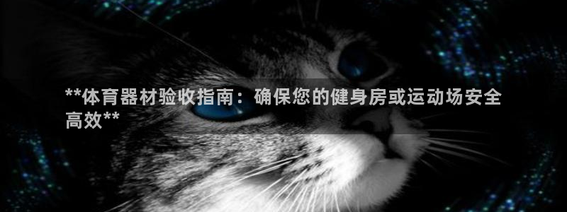 凯时游戏官方网站：**体育器材验收指南：确保您的健身