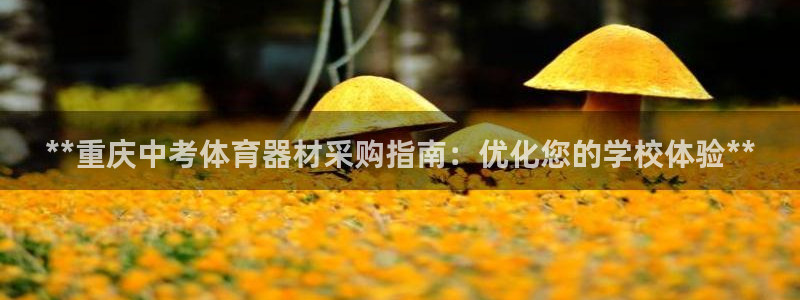 尊龙凯时登陆：**重庆中考体育器材采购指南：优化您的