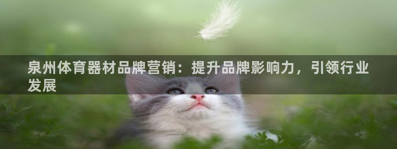 尊龙官网注册：泉州体育器材品牌营销：提升品牌影响力，