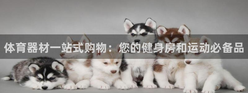 尊龙下载推荐网站：体育器材一站式购物：您的健身房和运