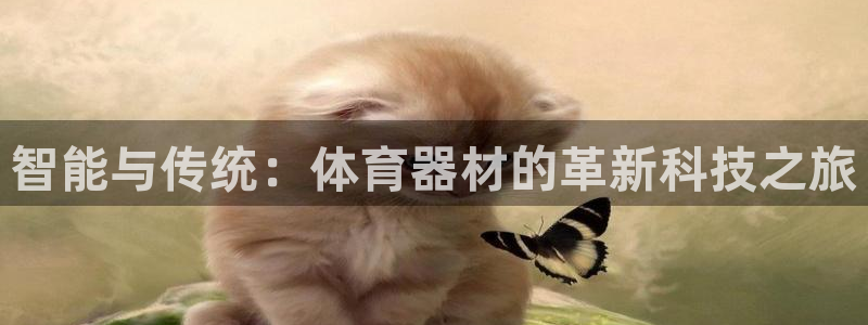 尊龙人生就是博旧版现