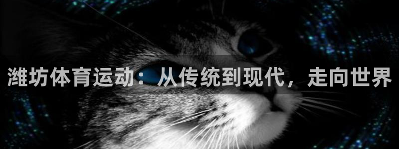 尊龙网址登录官网