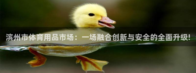 尊龙凯时官网正规吗