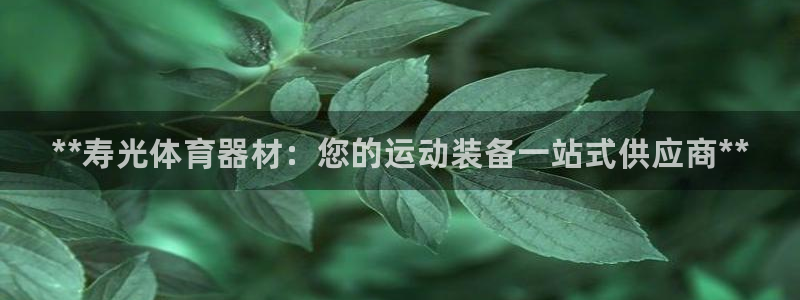 尊龙凯时人生就是搏 品牌专区：**寿光体育器材：您的