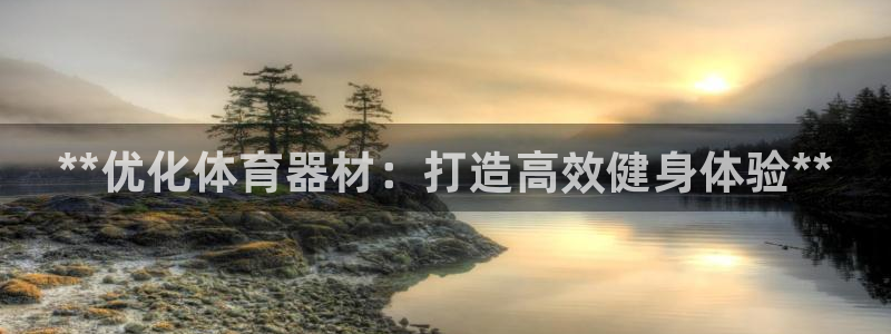 尊龙z6网址：**优化体育器材：打造高效健身体验**