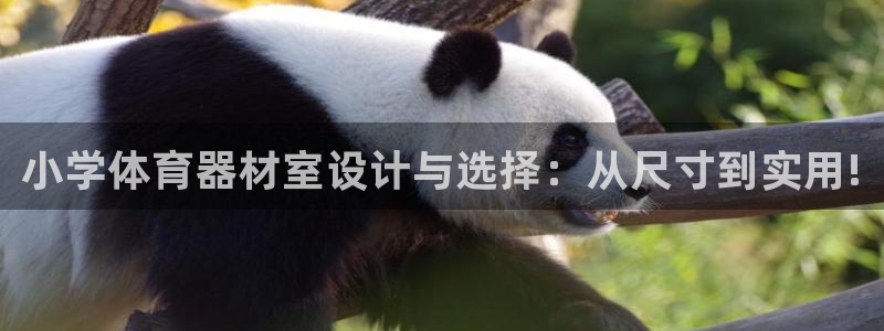 凯时kb88公司简介：小学体育器材室设计与选择：从尺