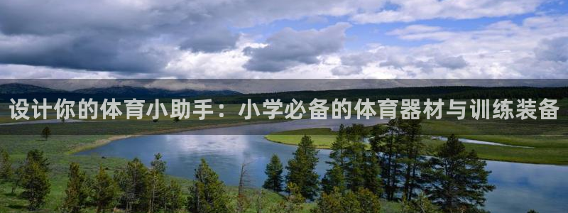 尊龙负面新闻：设计你的体育小助手：小学必备的体育器材