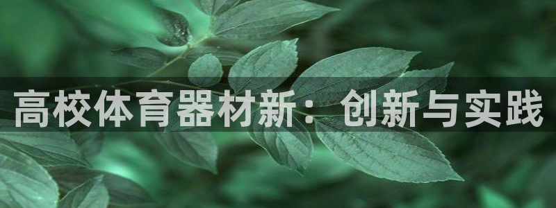 尊龙集团：高校体育器材新：创新与实践