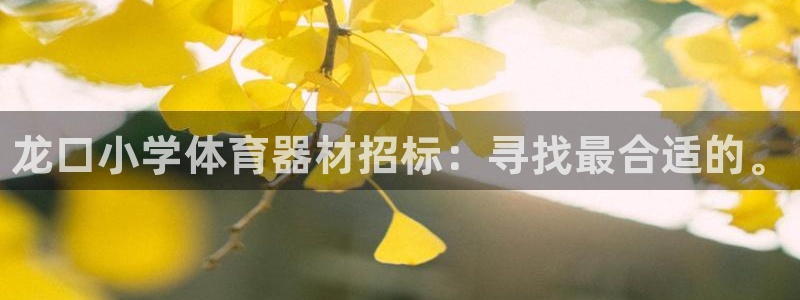 尊龙凯时是直营吗：龙口小学体育器材招标：寻找最合适的。