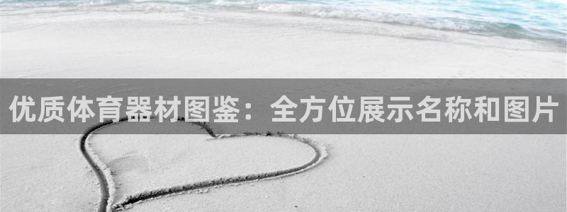 尊龙怎么没消息了：优质体育器材图鉴：全方位展示名称和