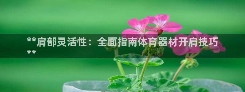 尊龙凯时干什么的：**肩部灵活性：全面指南体育器材开