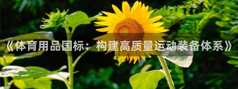 尊龙ag